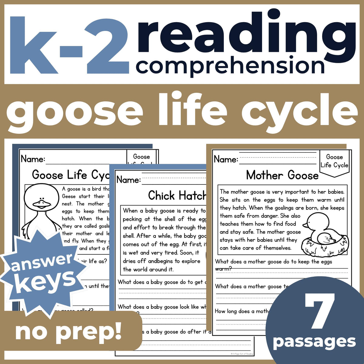 Goose Life Cycle Reading Comprehension Passages + Questions