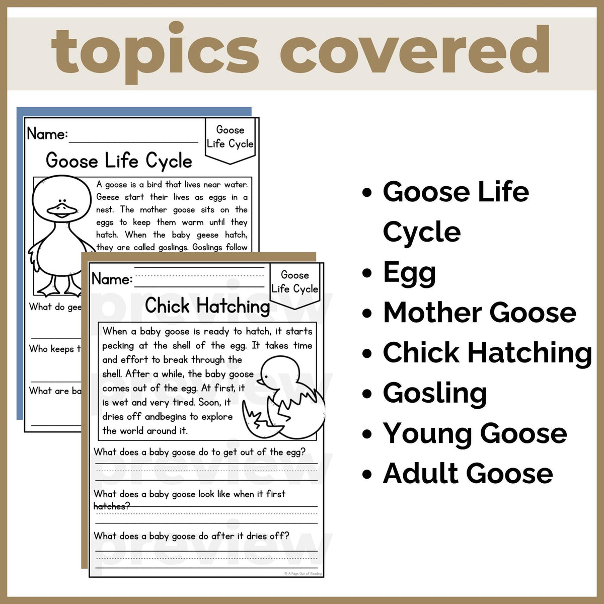 Goose Life Cycle Reading Comprehension Passages + Questions