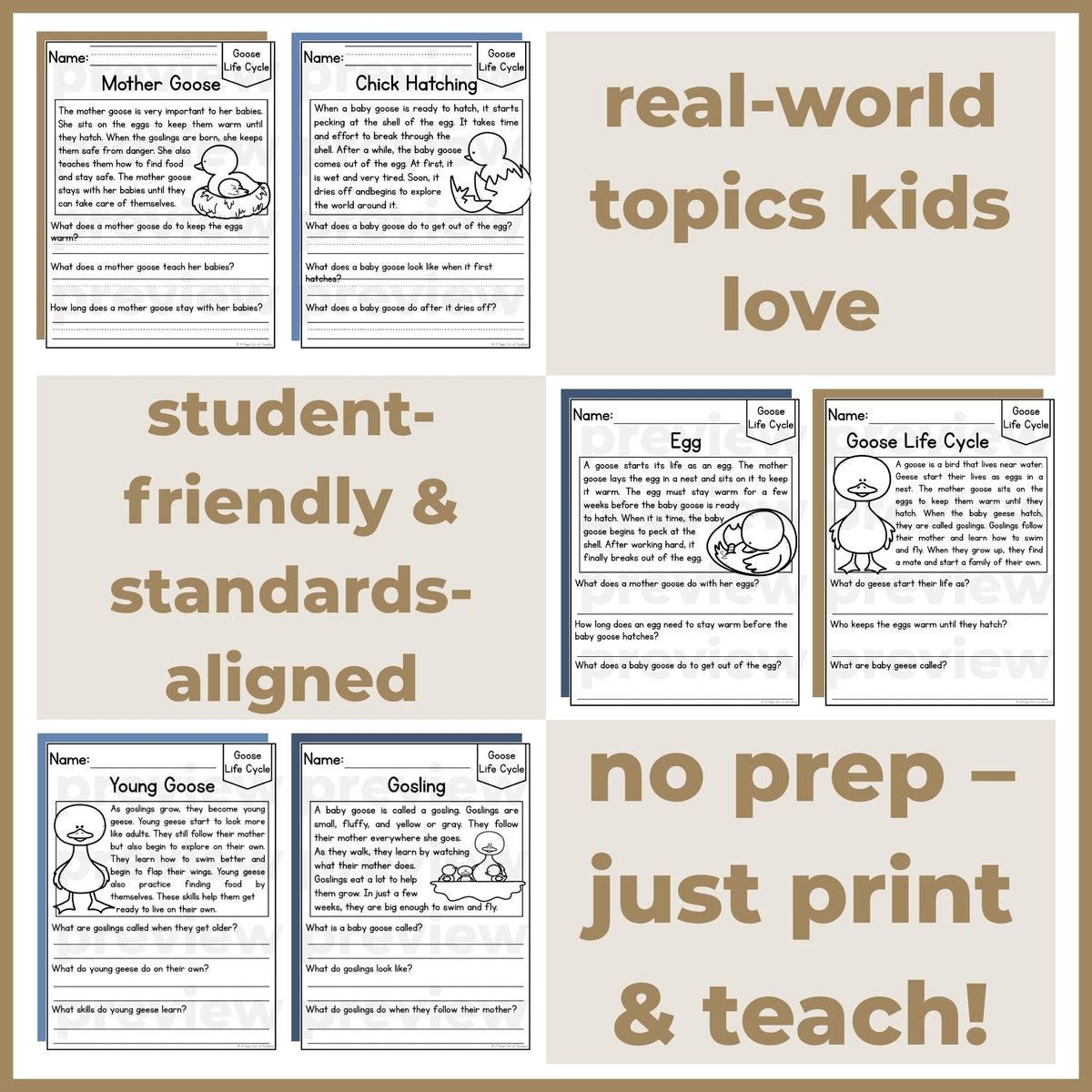 Goose Life Cycle Reading Comprehension Passages + Questions