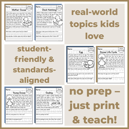 Goose Life Cycle Reading Comprehension Passages + Questions