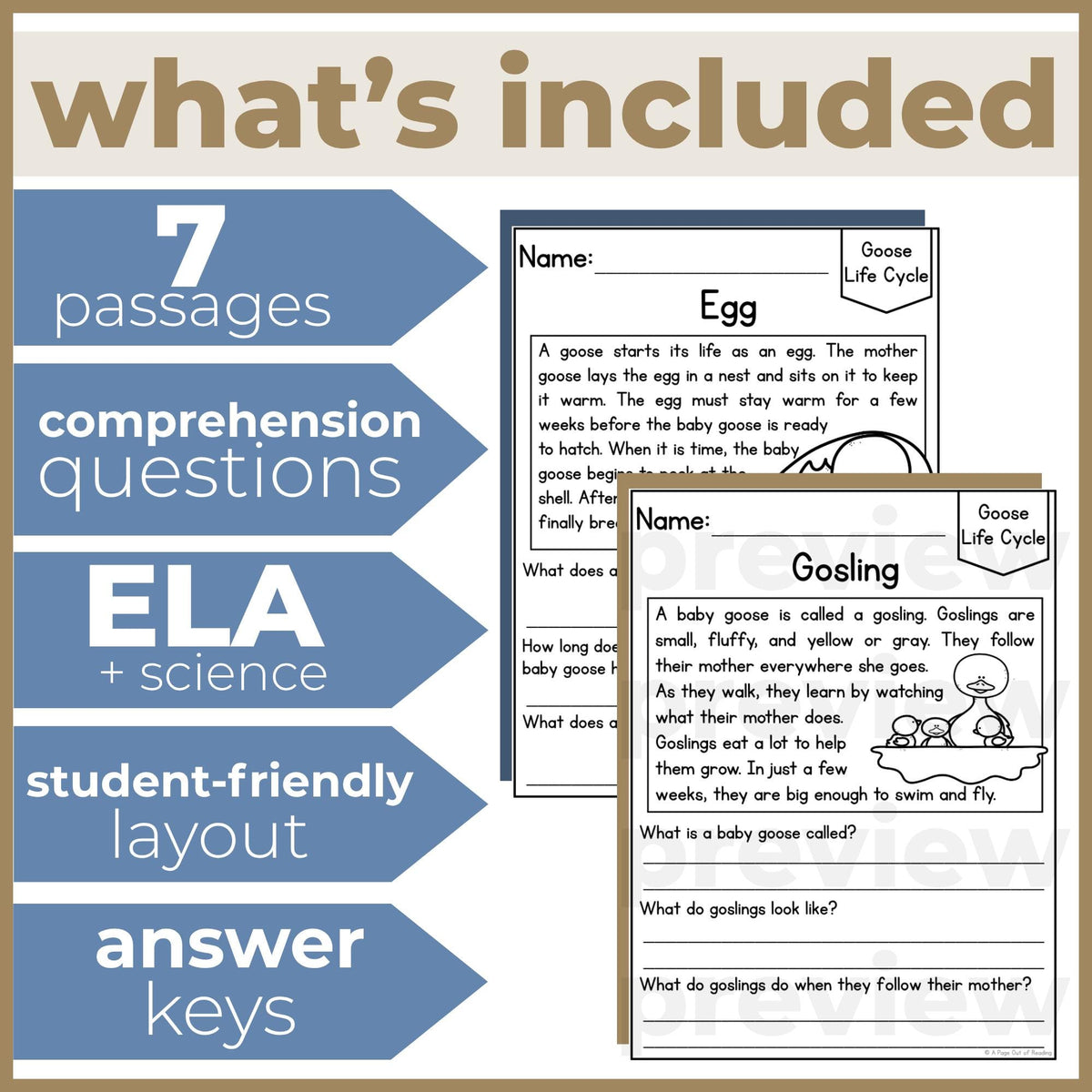 Goose Life Cycle Reading Comprehension Passages + Questions