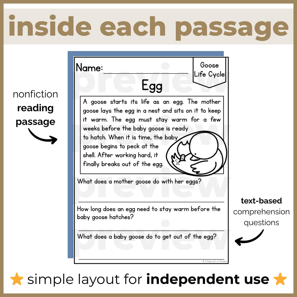 Goose Life Cycle Reading Comprehension Passages + Questions