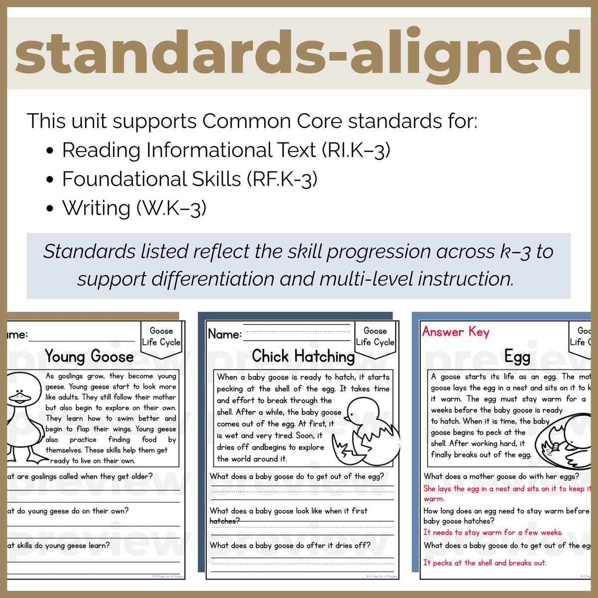 Goose Life Cycle Reading Comprehension Passages + Questions