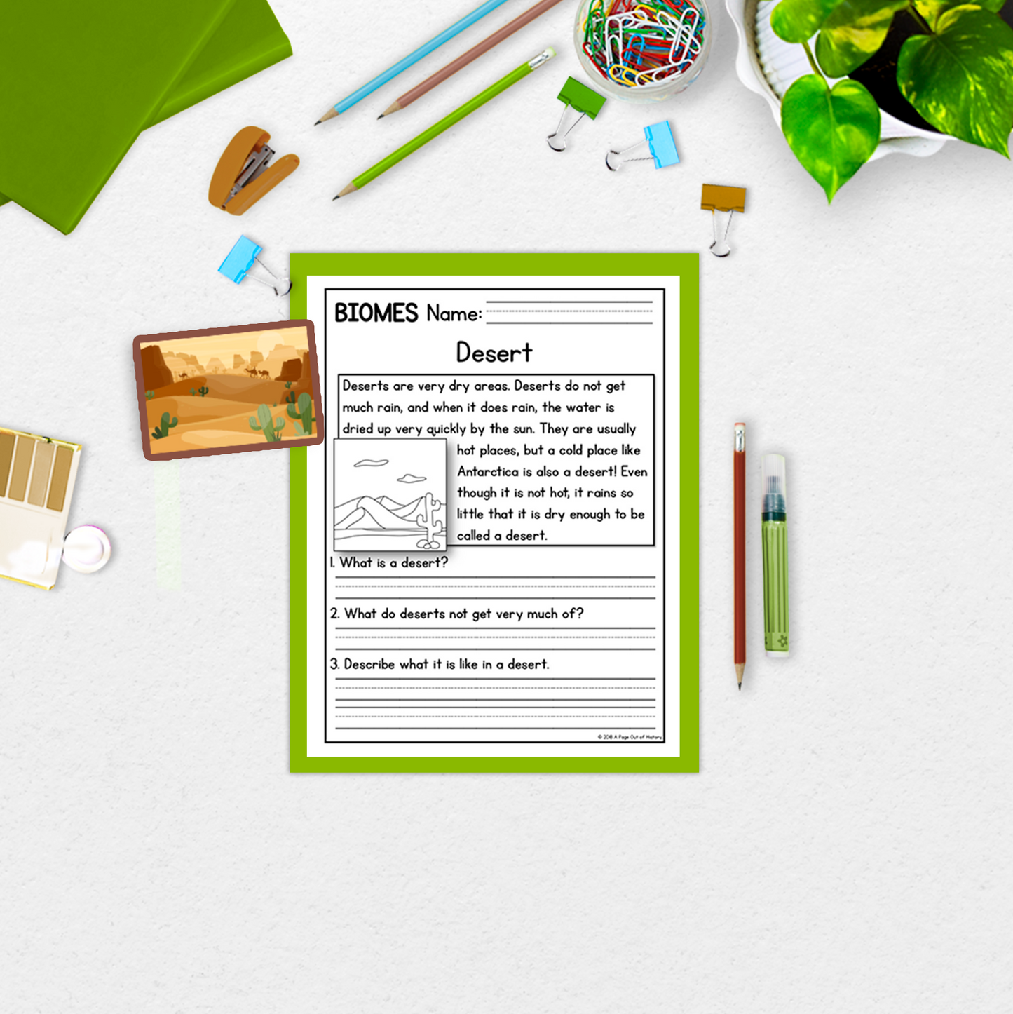 Biomes Reading Comprehension Passages + Questions