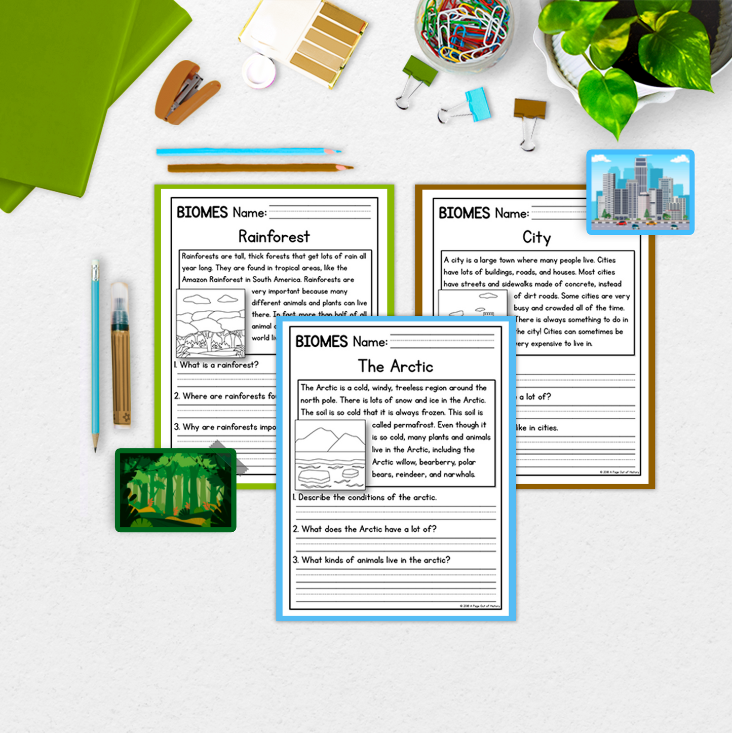 Biomes Reading Comprehension Passages + Questions