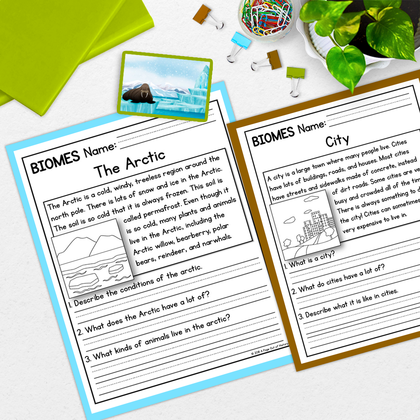 Biomes Reading Comprehension Passages + Questions