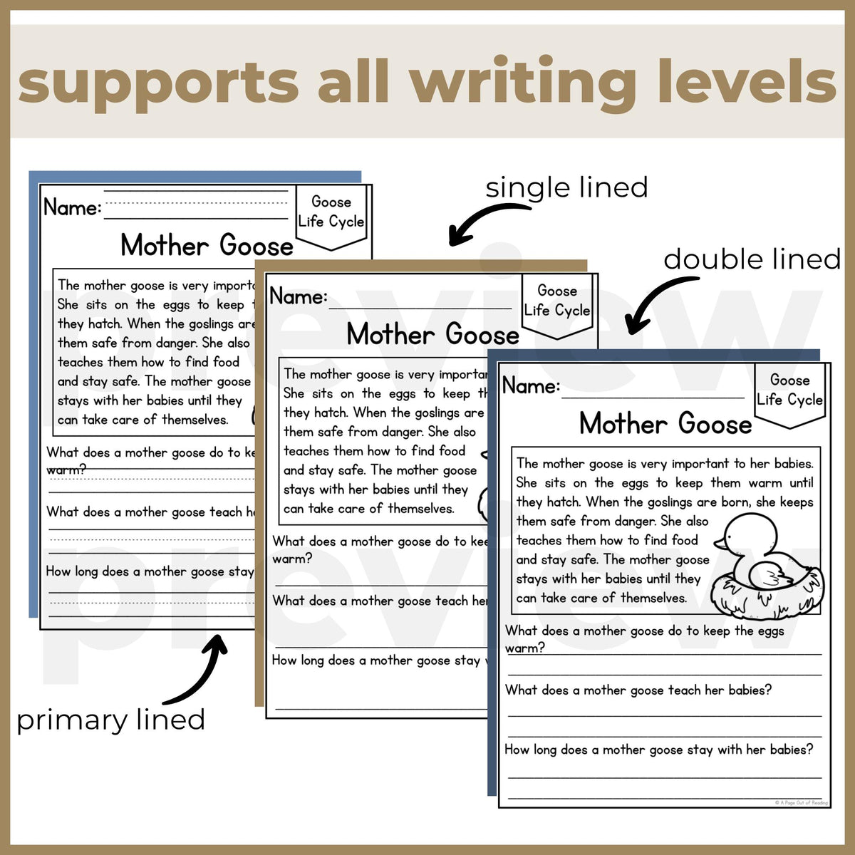 Goose Life Cycle Reading Comprehension Passages + Questions