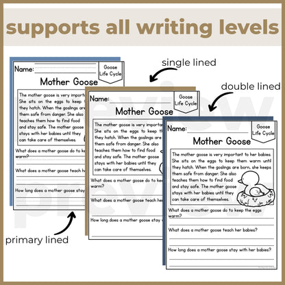 Goose Life Cycle Reading Comprehension Passages + Questions
